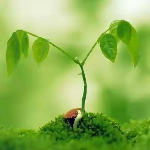 春天来了，疫情还未走远