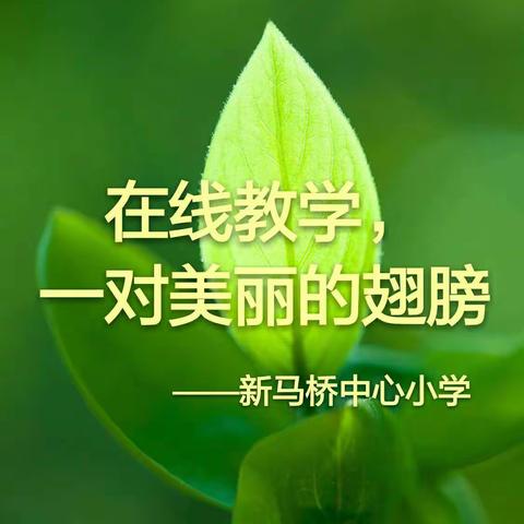 在线教学，一对美丽的“翅膀”