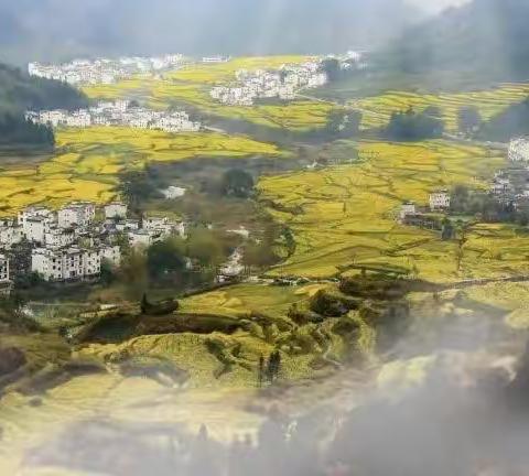 往必满载而归——记乐港镇小学参加教育新视野第十四届全国小学数学名师课堂观摩活动