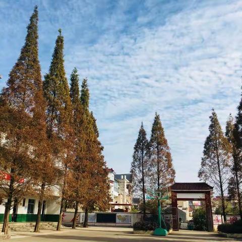 乐港塔瑞小学暑假放假通知，防溺水安全教育