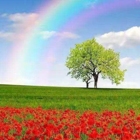 他们发现了春天的诗句﻿