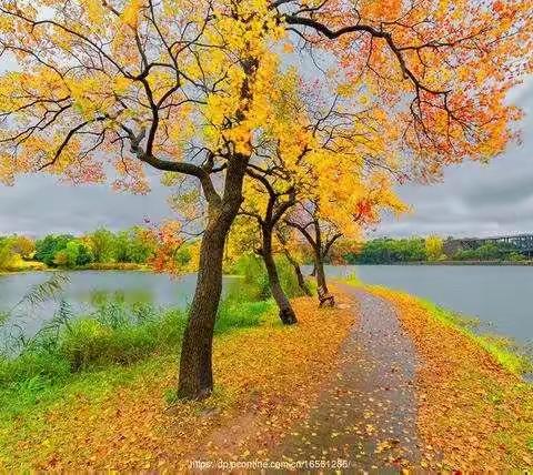 知足常乐的美篇