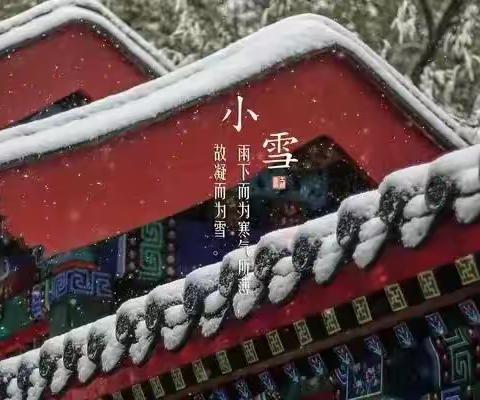 初寒小雪至·冬韵万物藏