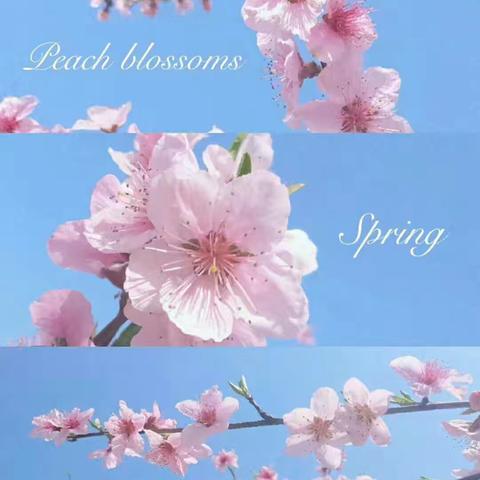 下洼一中开学准备工作汇报