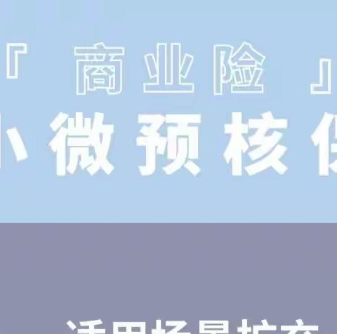 安盛天平小微预核保产品多方位无忧守护保障个体工商户经营风险