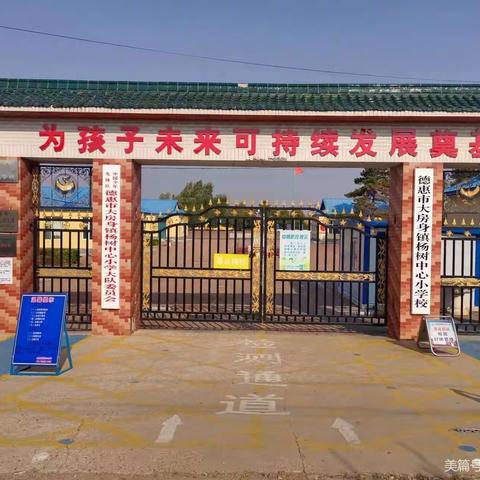 知法于心，守法于行——杨树中心小学学习《反有组织犯罪法》宣传活动