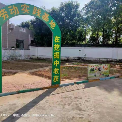 从实践中发现，在挖掘中收获——文罗中心小学开展劳动教育实践活动