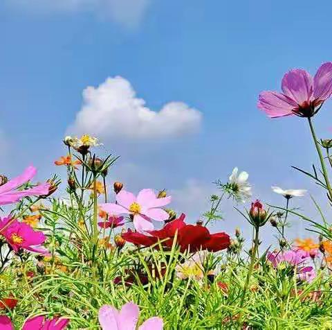 和和美美的美篇