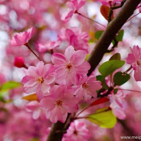 和和美美的美篇