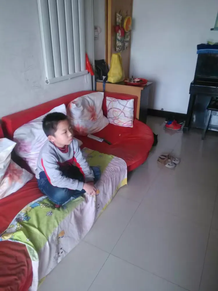 我在家中战疫情