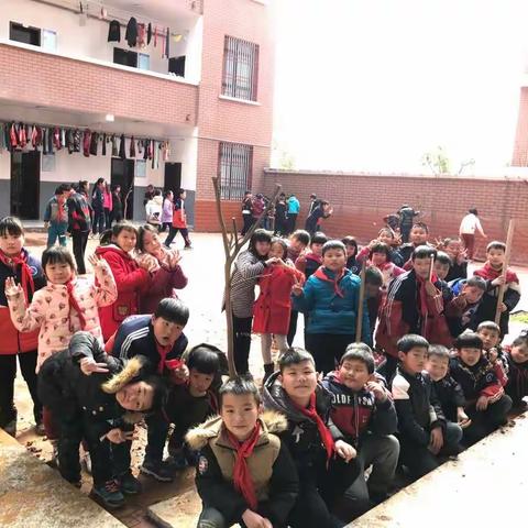 播一颗绿色的种，许一个缤纷的愿。