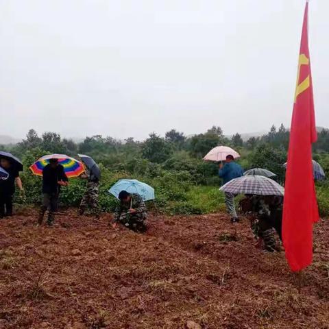 以党史学习教育为引领，艾家村退役军人为民办实事