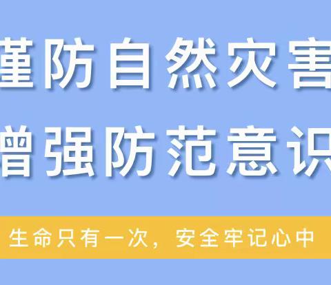 “预防自然灾害，探寻生命的意义”——朵俊颐和公办幼儿园六月厚德主题活动自我保护篇