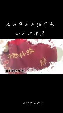 娴云清嫣的美篇