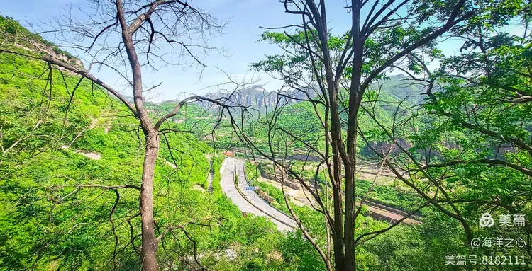 红豆杉景区门票