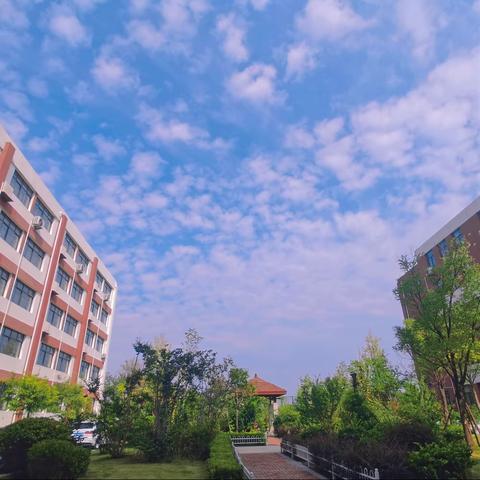 追风赶月莫停留,平芜尽处是春山——八年级语文组备战期末