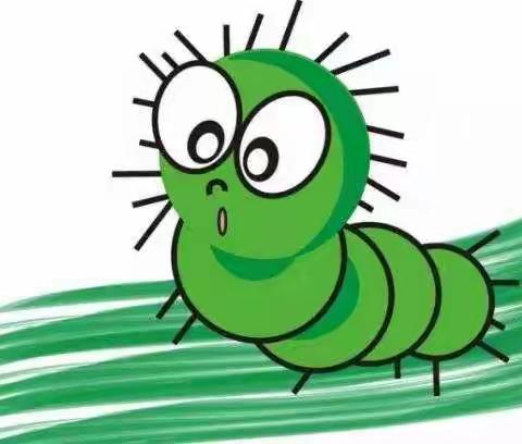 毛毛虫🐛