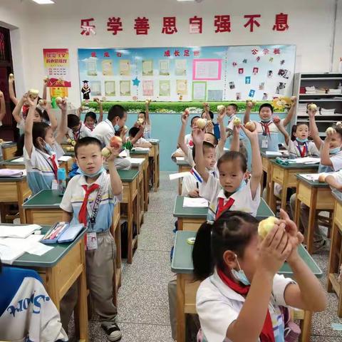 三（2）班家务劳动实践展示