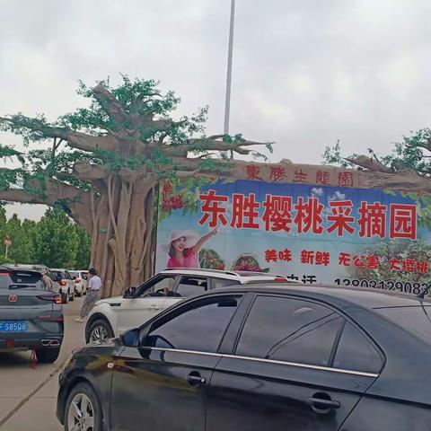 定州东胜生态园