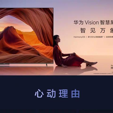 供销商厦家电柜组  华为电视Vision 75系列  新品上市  “智见万象”