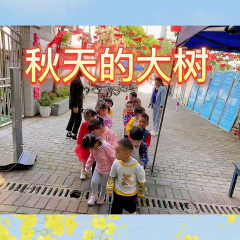 重庆两江新区人和嘉旭幼儿园小班第九周精彩回顾