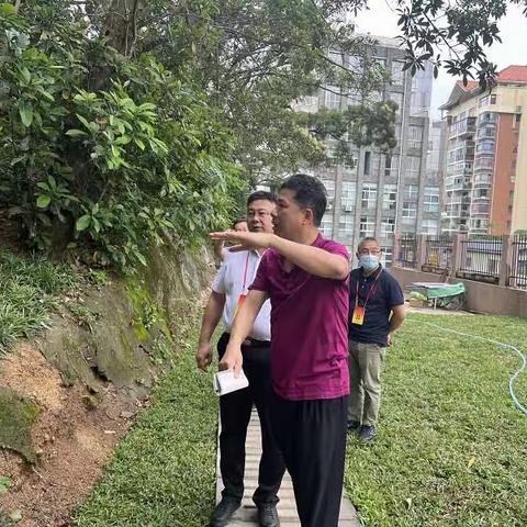 滨海社区人大联络站组织代表开展空置储备用地“回头看”视察活动