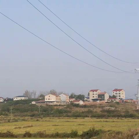 又回故乡(2020.11)