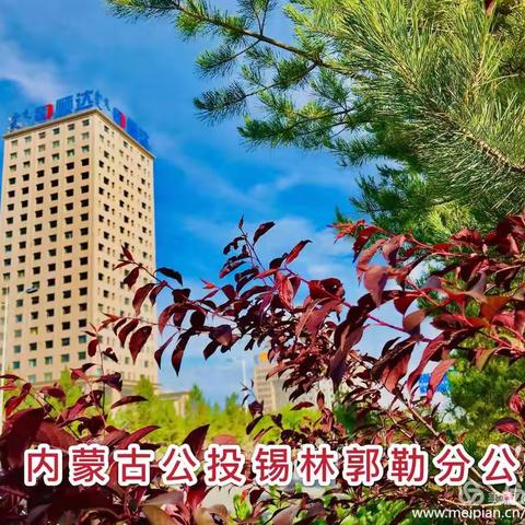 锡林郭勒分公司职工诗赋集锦   （第133期）