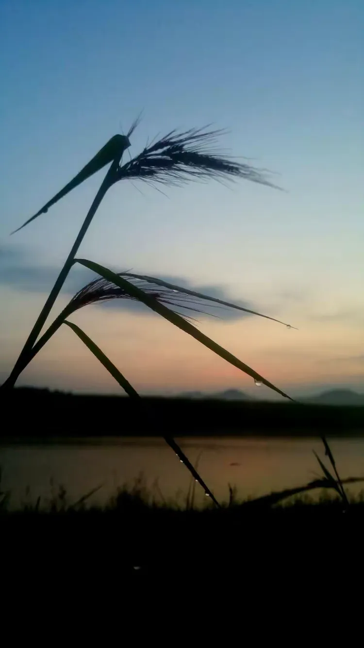 且留风住