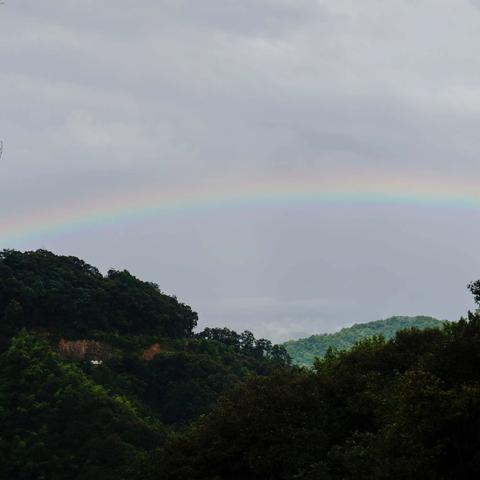 浮梁县蛟潭经公桥独龙尖红旗峰