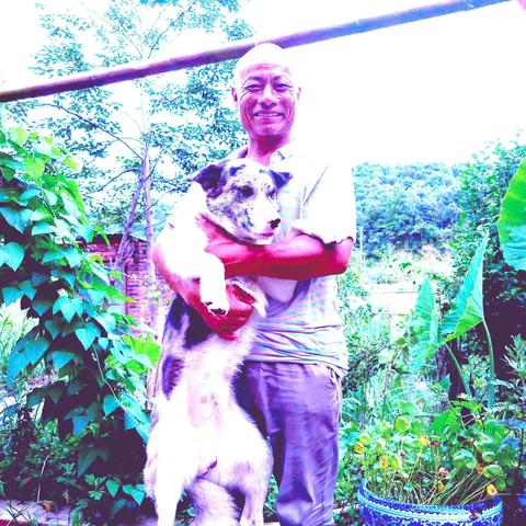 人与自然和谐发展