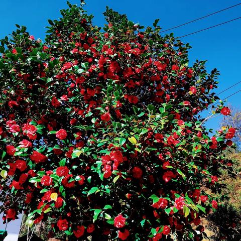 曹家里穿越木鱼崛到婺源塘尾