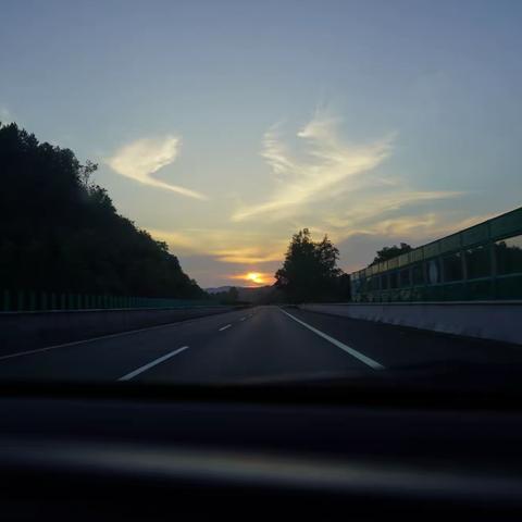 2023年夏日阳光之下明媚风