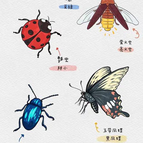 给孩子的夏季常见昆虫图鉴