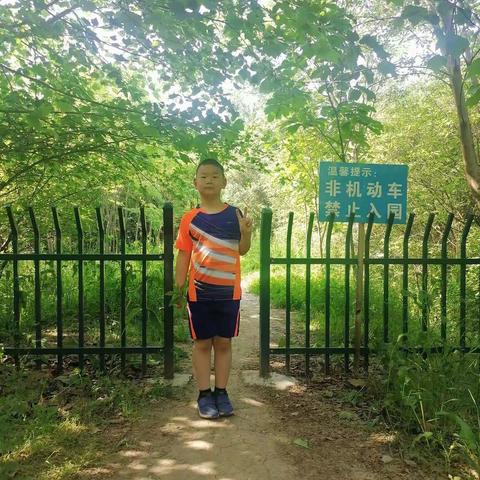 欢乐的五月三日