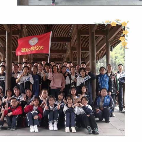 【和乐德育】一起亲近大自然——809骐骥九班