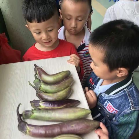 区角活动一一食育坊之炸茄子饼