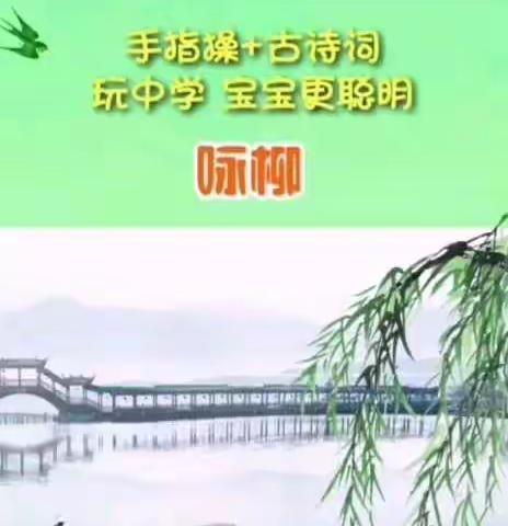 柳南二幼中五班宅在家做什么（四）