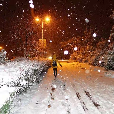 雪花飘入我诗行