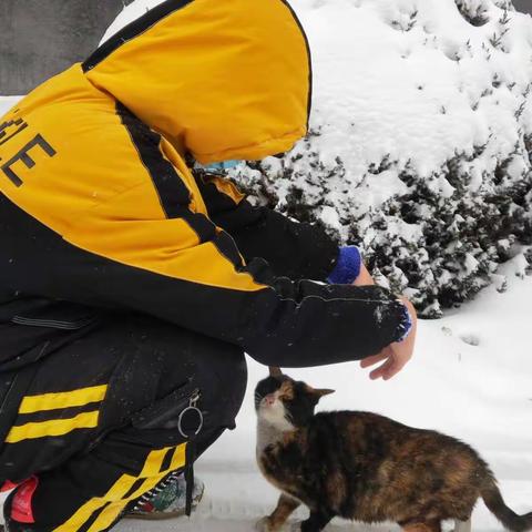 致敬最美逆行者–我的爸爸妈妈