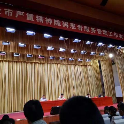 临盘卫生院《严重精神障碍患者服务管理工作》会议