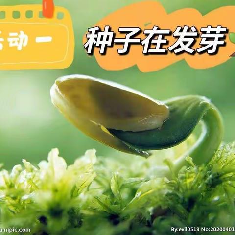 发芽🌱行动，收获成长——南岗子中心园幼小衔接“发芽行动”主题系列活动纪实