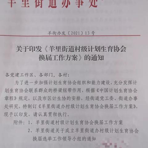 羊里街道积极推进村级计生协换届工作