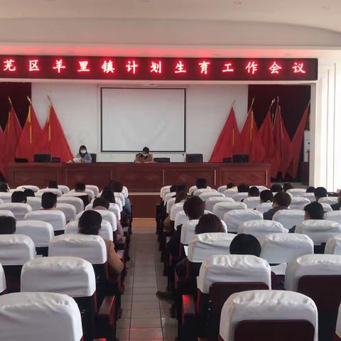 羊里镇开展2020年计划生育工作及计生药具管理培训会议