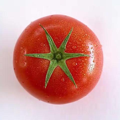 停课不停学，成长不停歇 ！加区一小李威翰