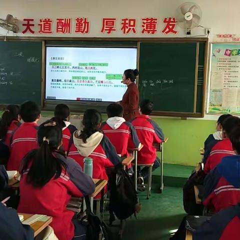 【县直初中教研时讯306】一片冰心向语文