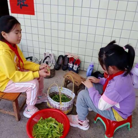 西埌镇坡心小学 从身边的小事做起，学习雷锋好榜样