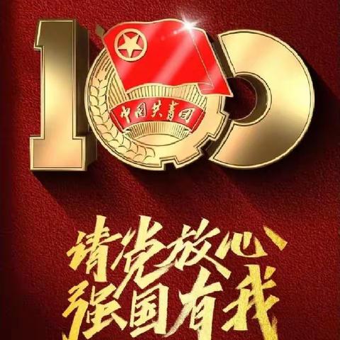 【长春文庙小学】学习习近平总书记在建团100周年大会上重要讲话精神