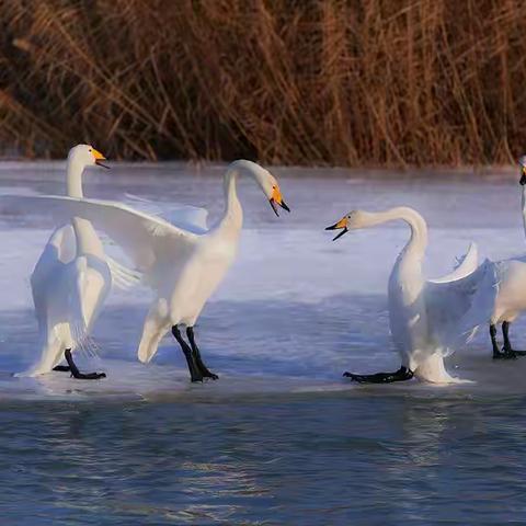 四季的滨河公园