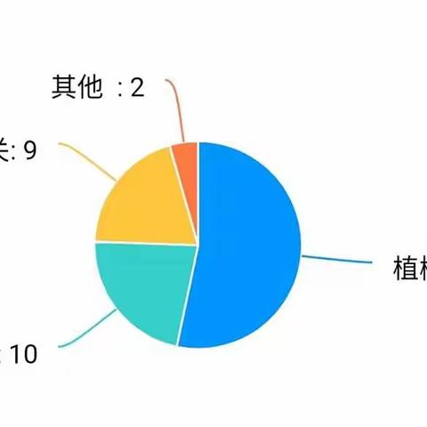 “童”抗疫，“趣”生活——大三班特色线上主题活动